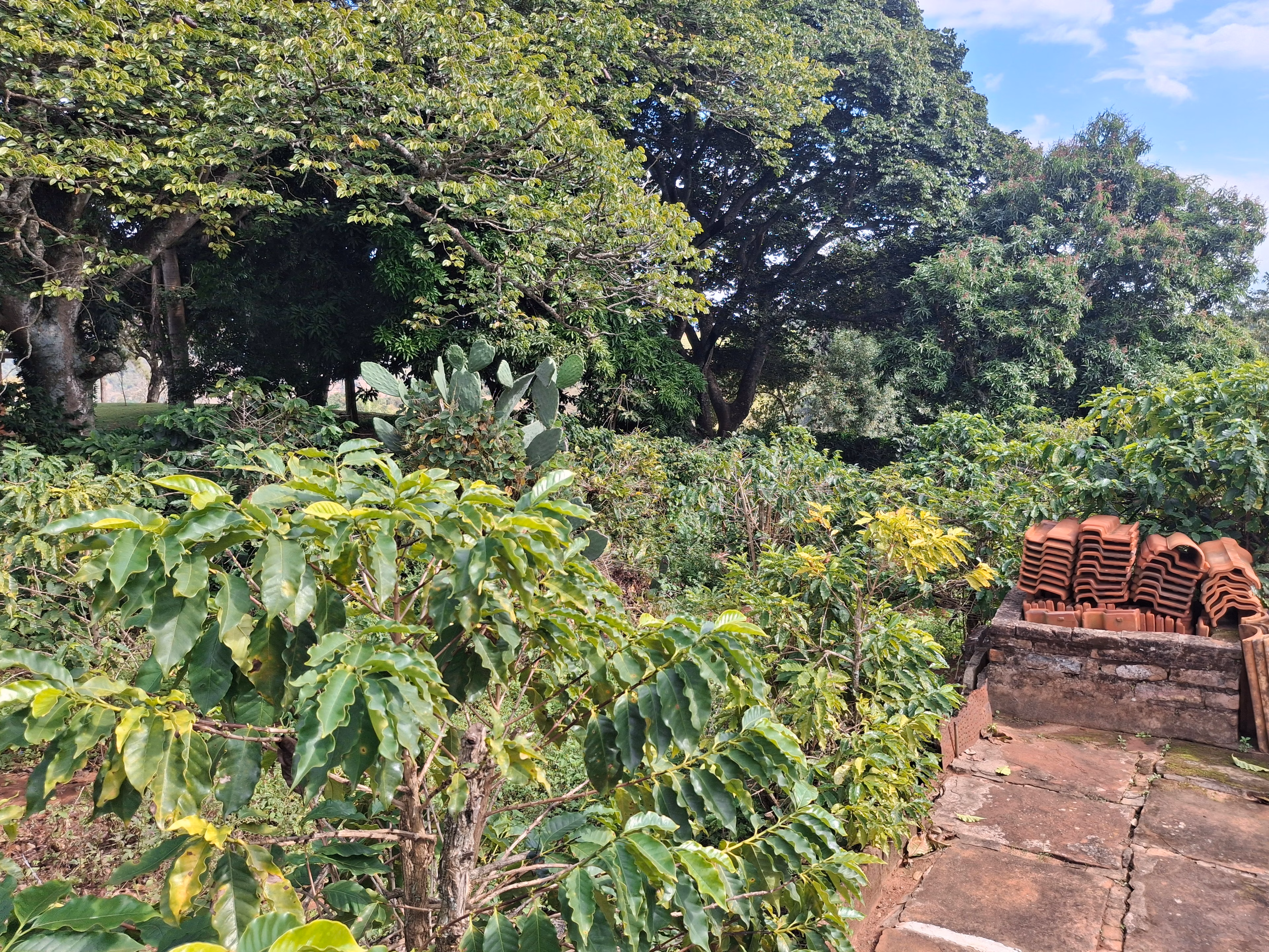 Chácara de 3.200 m² em Timburi, SP