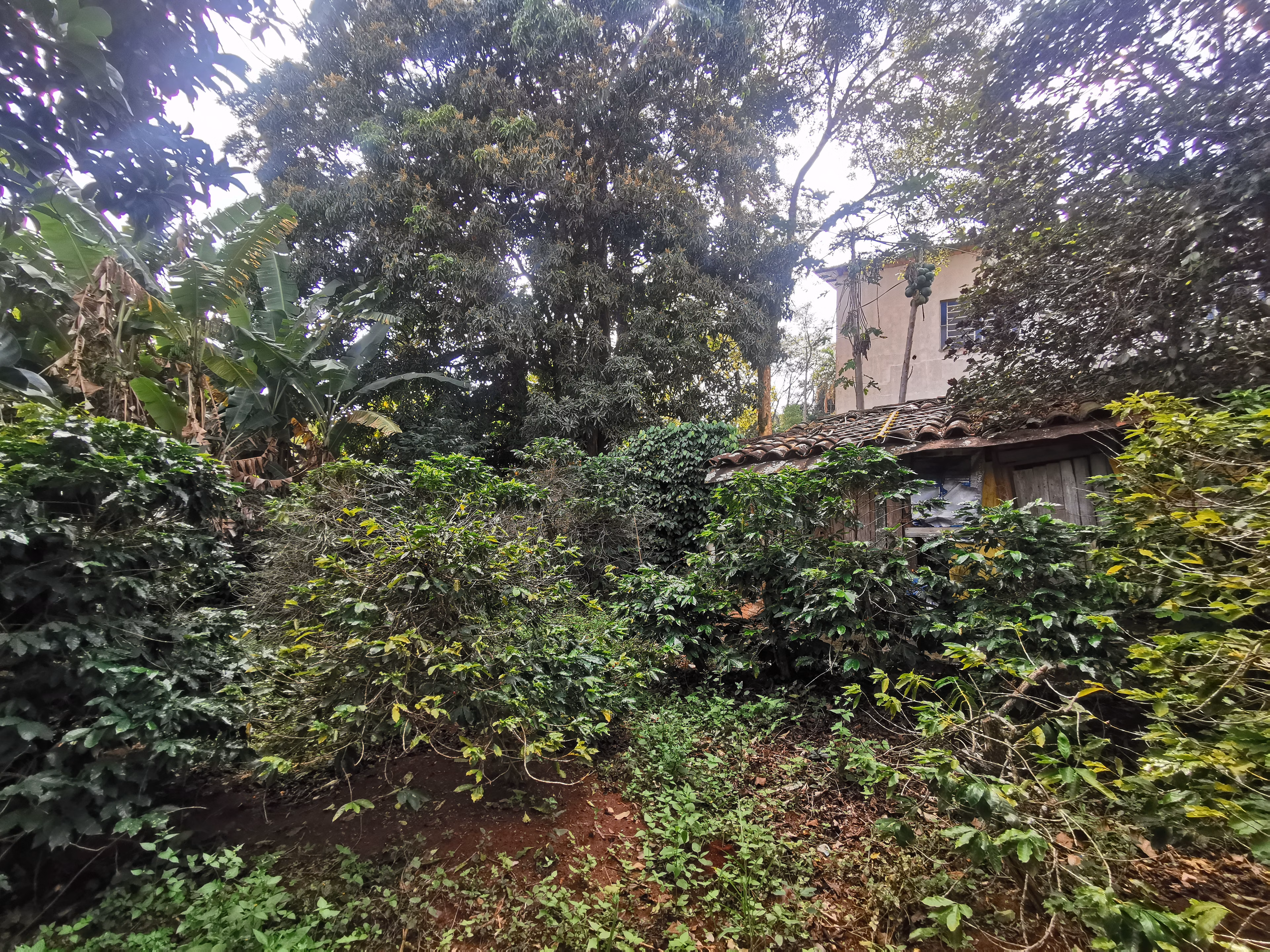 Chácara de 3.200 m² em Timburi, SP