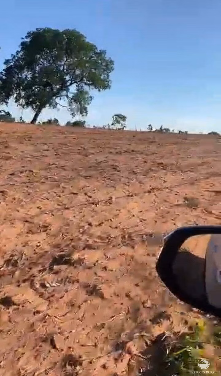 Fazenda de 1.251 ha em Coxim, MS
