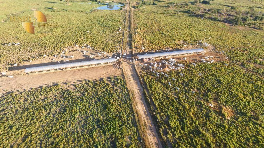 Fazenda de 950 ha em Matupá, MT