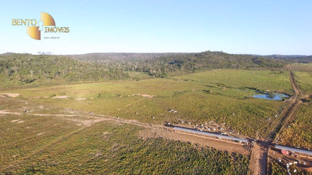 Fazenda de 950 ha em Matupá, MT