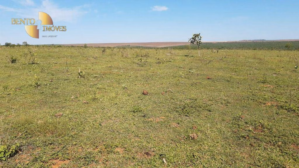 Fazenda de 200 ha em Rondonópolis, MT