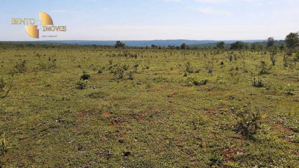 Fazenda de 200 ha em Rondonópolis, MT