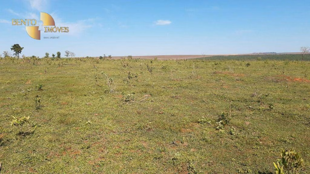 Fazenda de 200 ha em Rondonópolis, MT