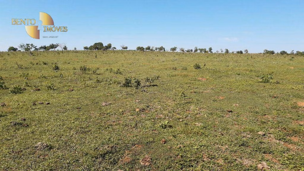 Fazenda de 200 ha em Rondonópolis, MT