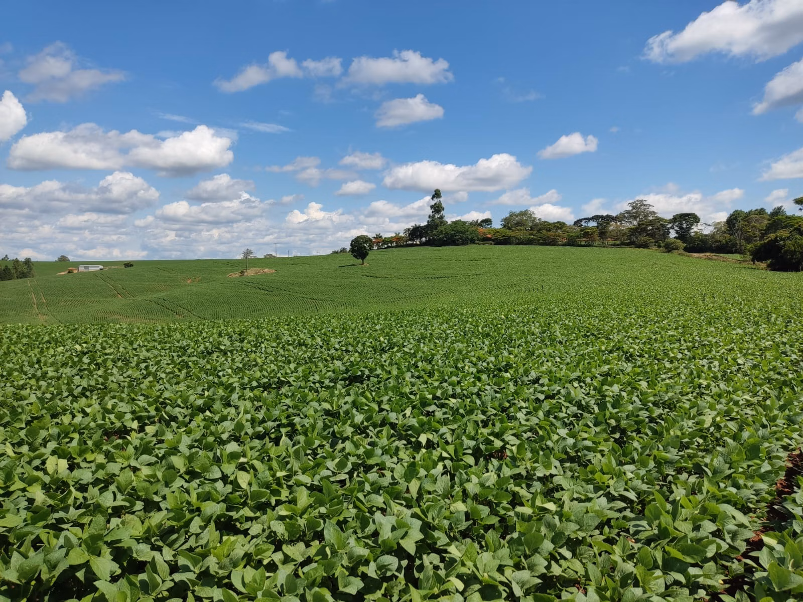 Fazenda de 329 ha em Capão Bonito, SP