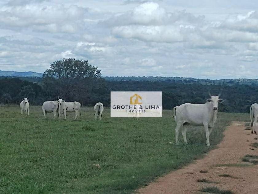 Fazenda de 8.896 ha em Araguaína, TO