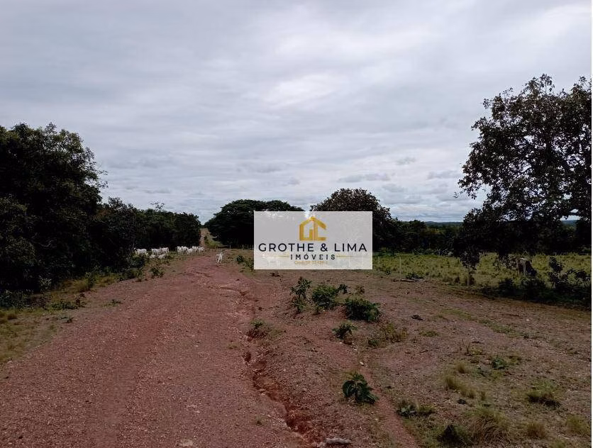 Fazenda de 8.896 ha em Araguaína, TO