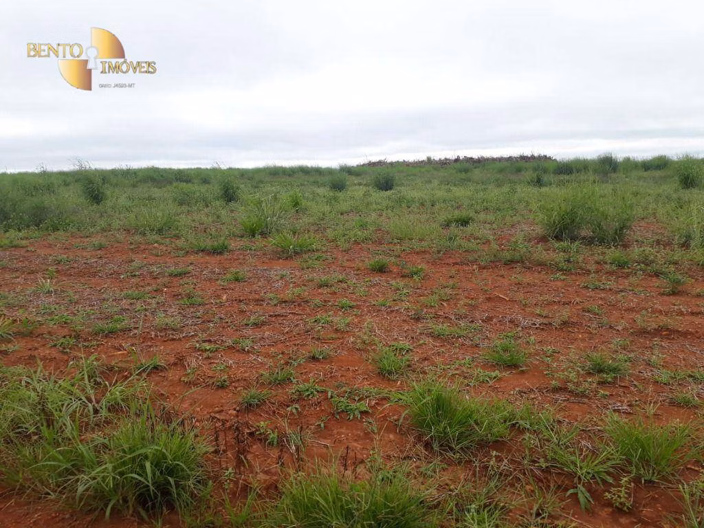 Fazenda de 1.830 ha em Brasnorte, MT