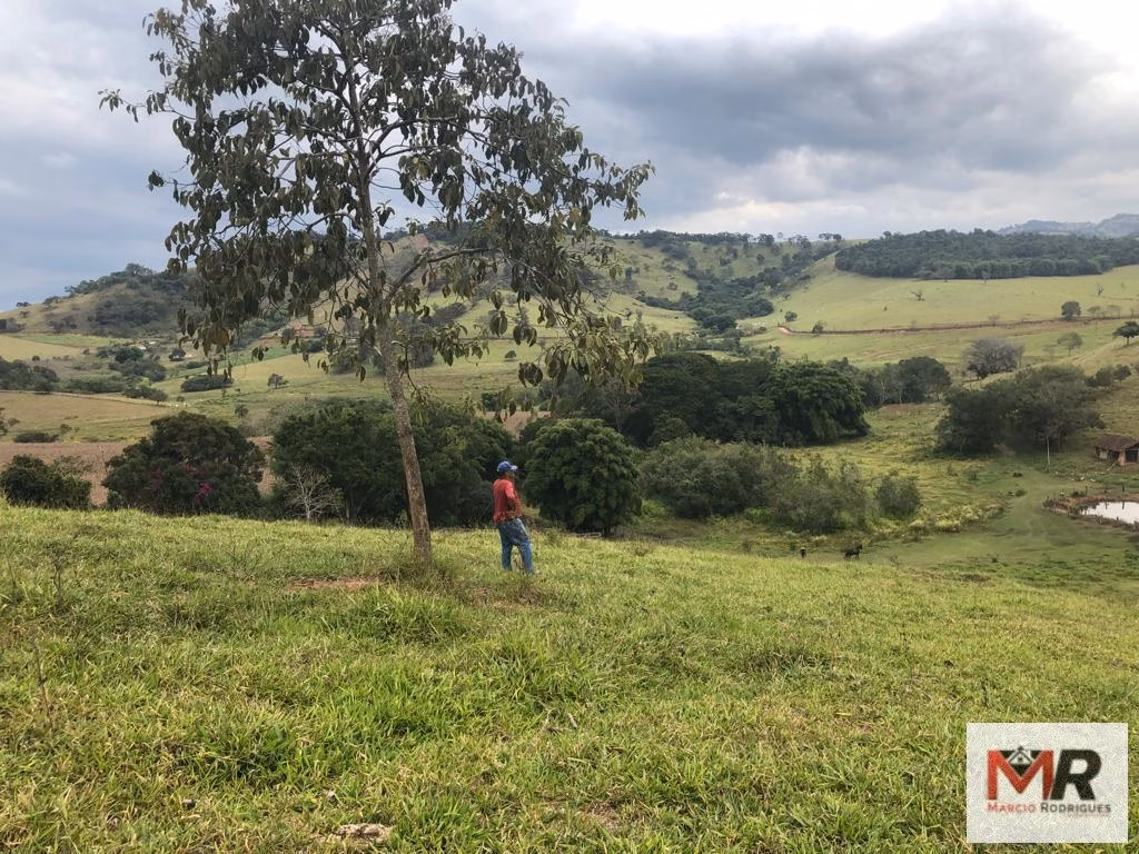 Terreno de 55 ha em Cachoeira de Minas, MG