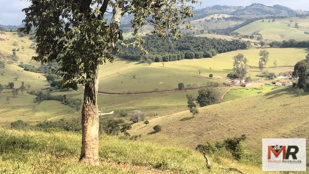 Terreno de 55 ha em Cachoeira de Minas, MG