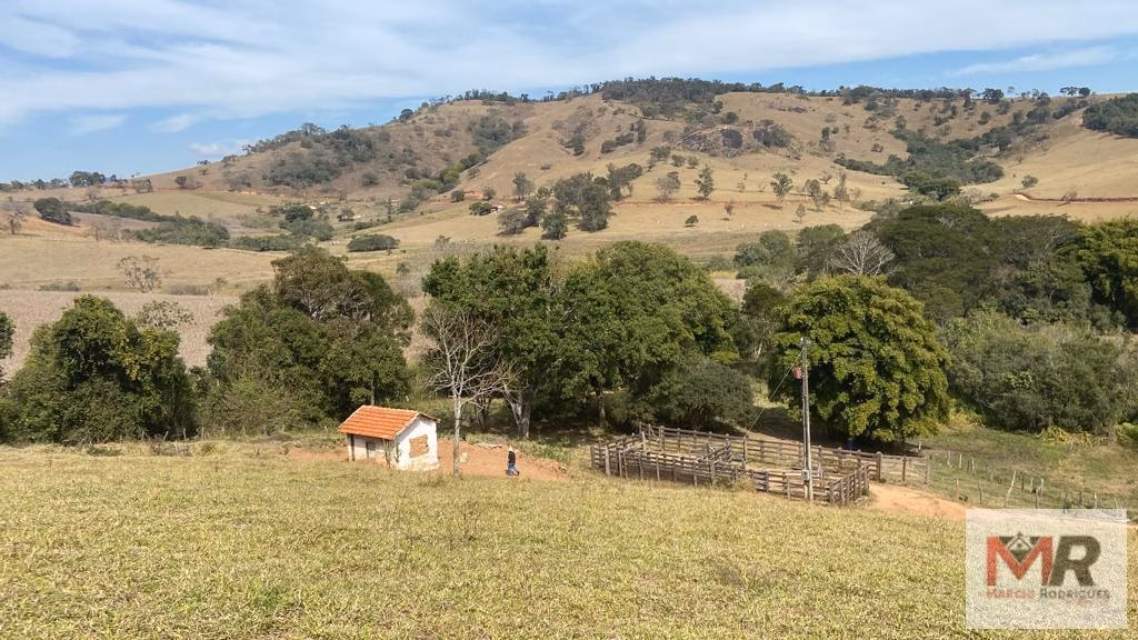 Terreno de 55 ha em Cachoeira de Minas, MG