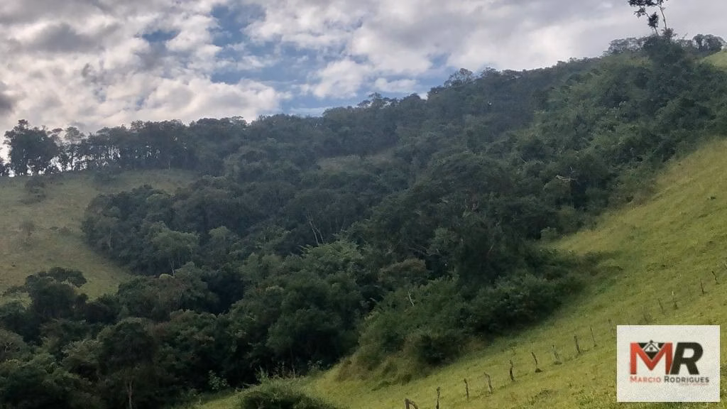 Terreno de 55 ha em Cachoeira de Minas, MG