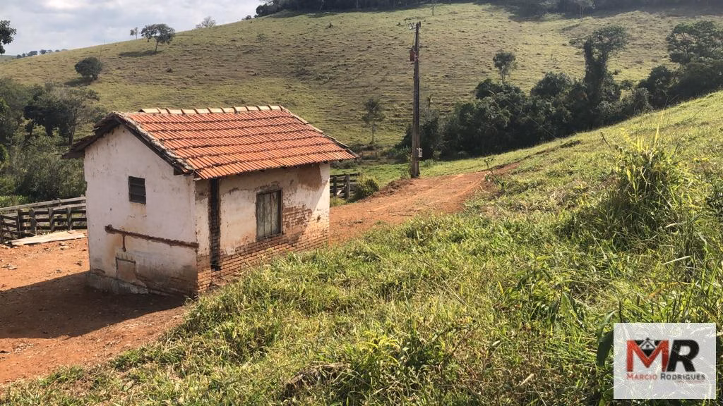 Terreno de 55 ha em Cachoeira de Minas, MG