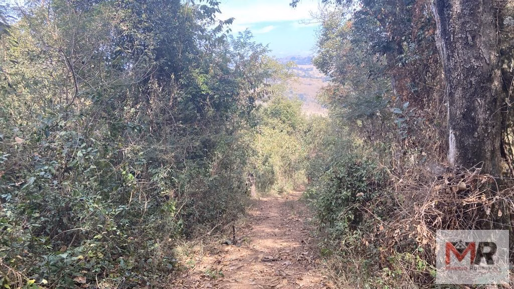 Terreno de 55 ha em Cachoeira de Minas, MG