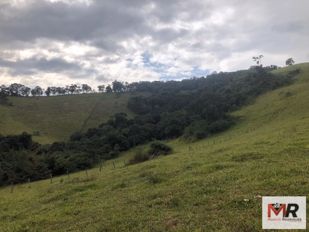 Terreno de 55 ha em Cachoeira de Minas, MG
