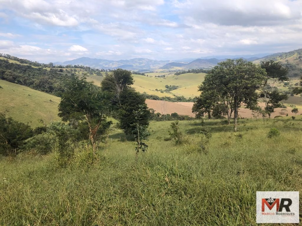Terreno de 55 ha em Cachoeira de Minas, MG