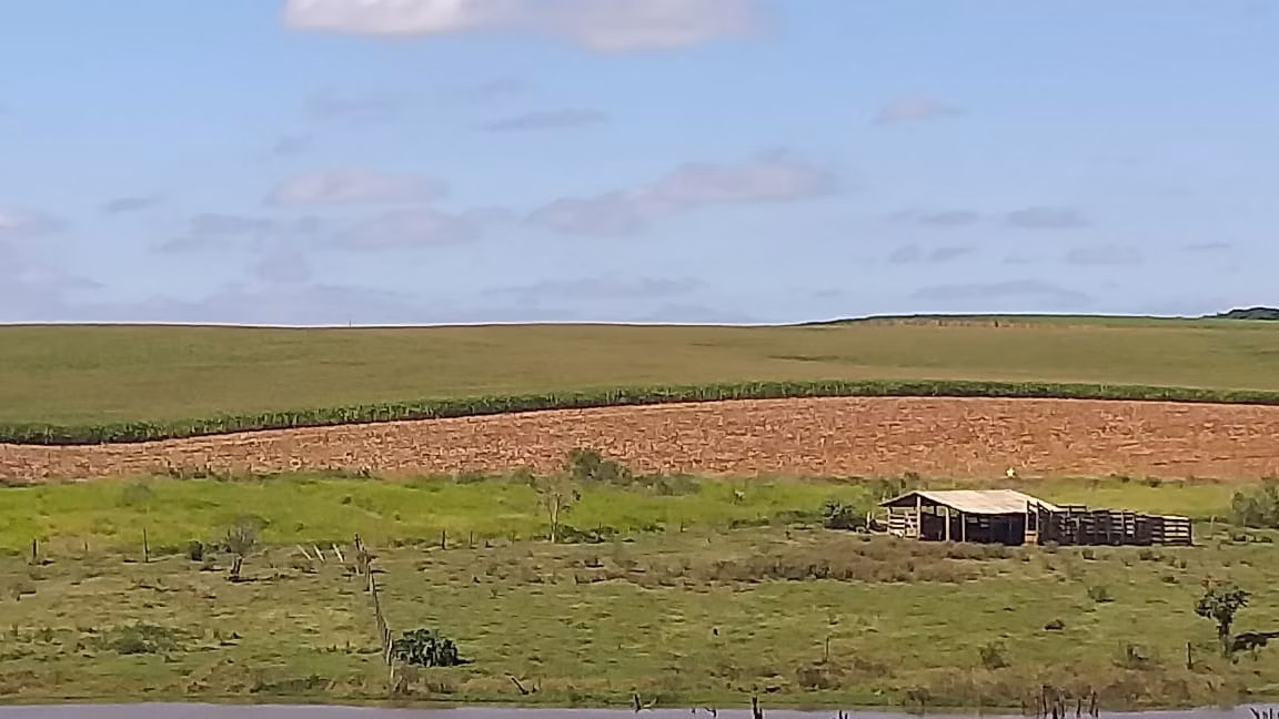 Small farm of 167 acres in Quadra, SP, Brazil