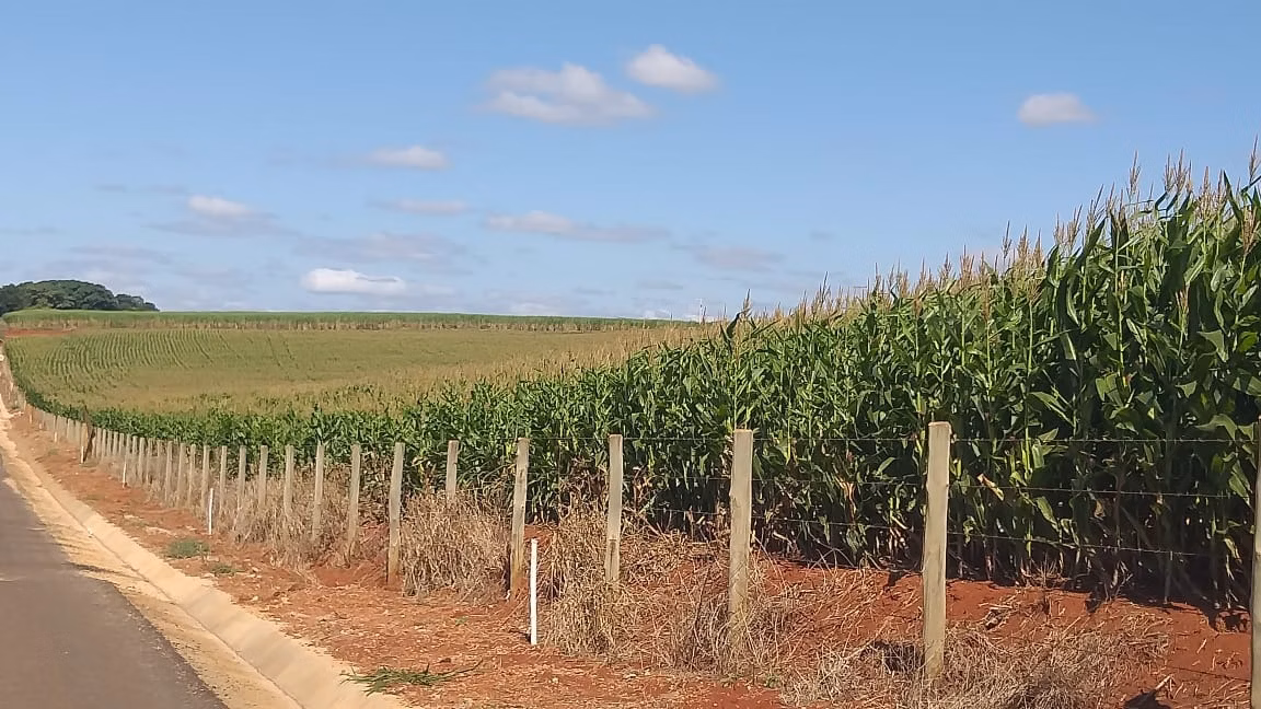 Small farm of 167 acres in Quadra, SP, Brazil