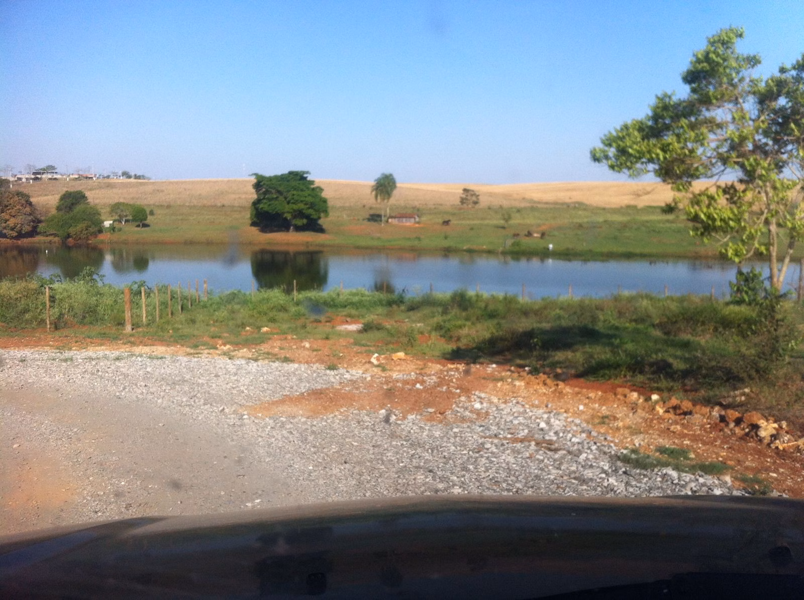 Small farm of 167 acres in Quadra, SP, Brazil