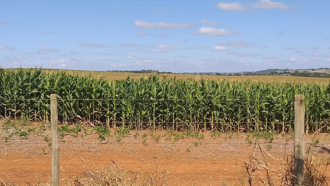 Small farm of 167 acres in Quadra, SP, Brazil