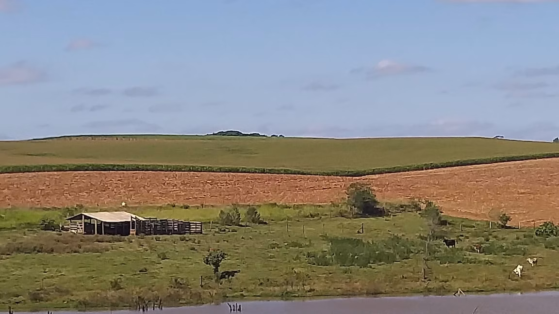 Small farm of 167 acres in Quadra, SP, Brazil