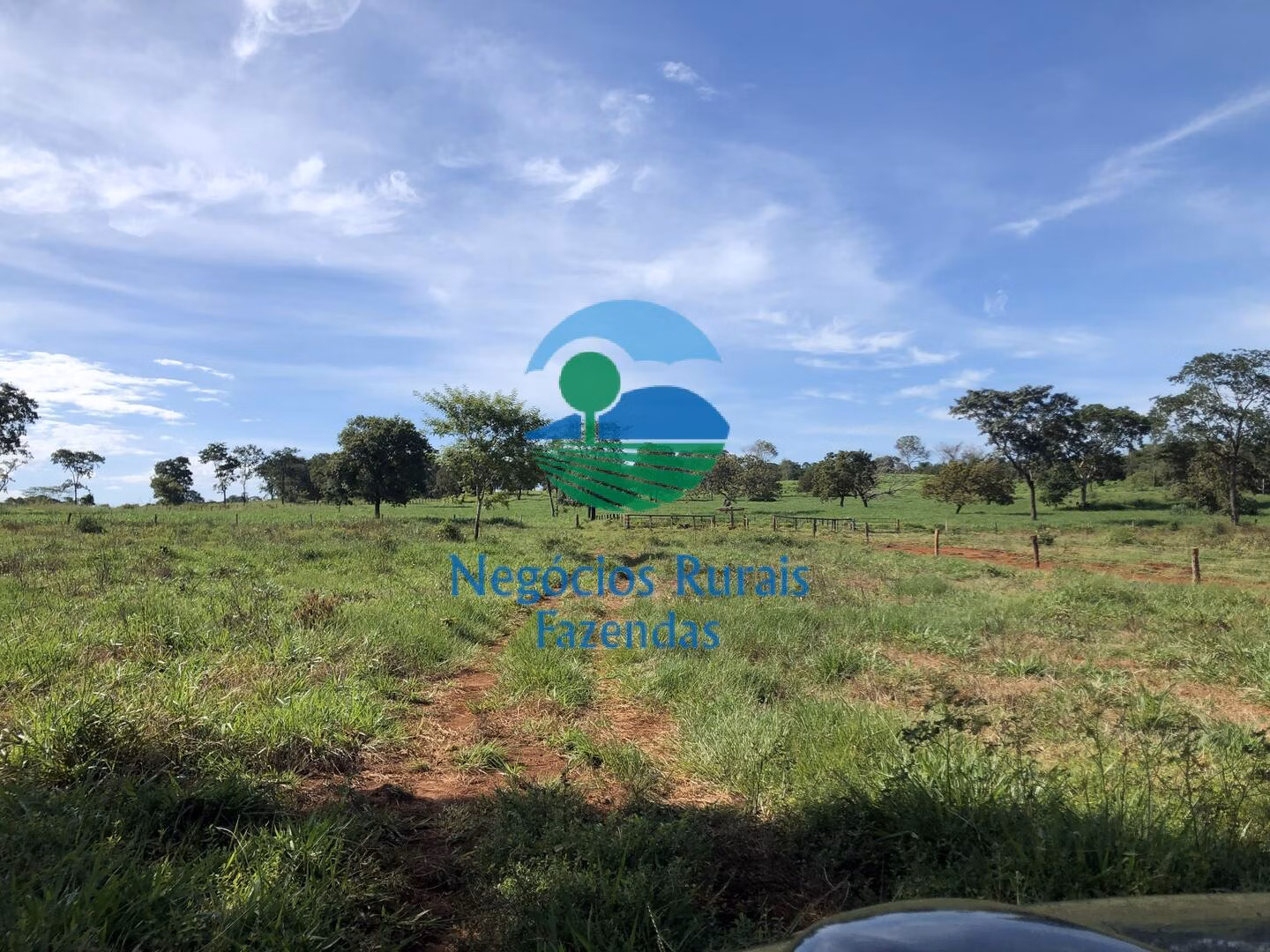 Fazenda de 677 ha em Campinorte, GO