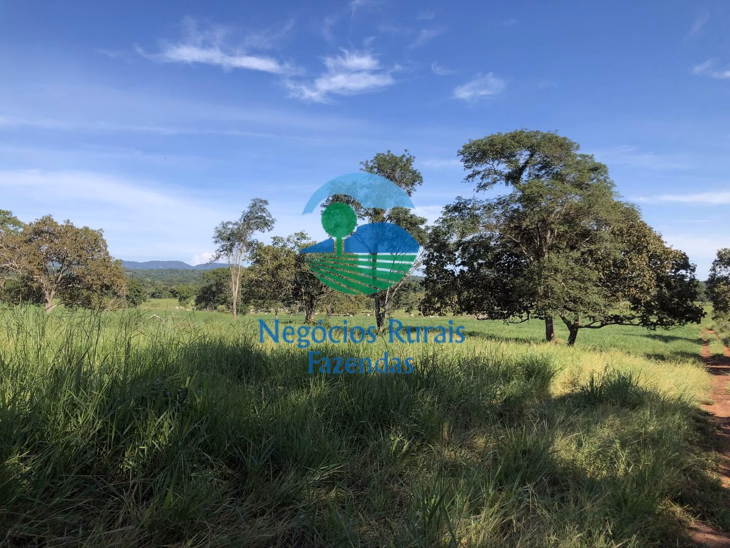 Fazenda de 677 ha em Campinorte, GO