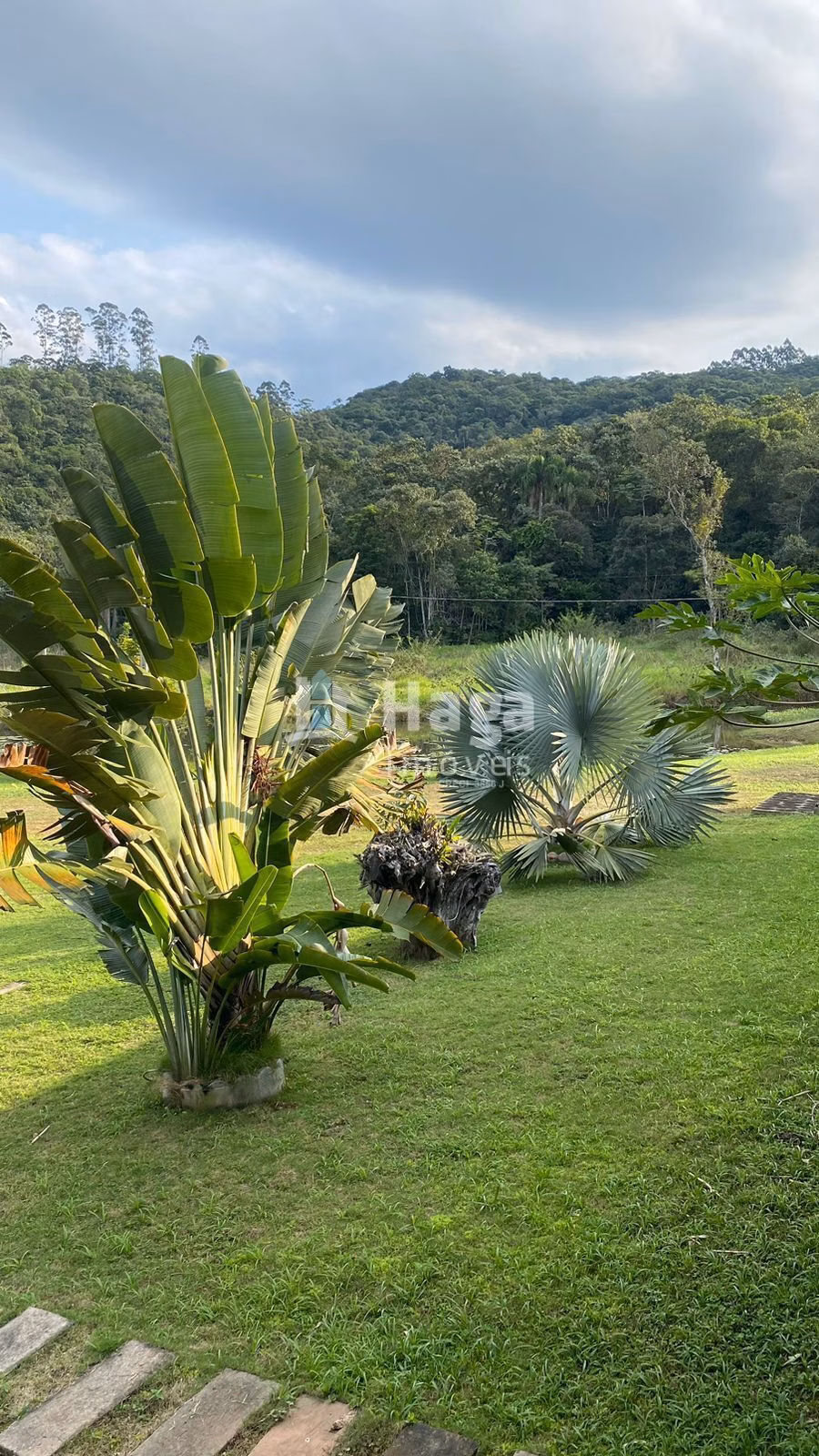 Fazenda de 84 ha em Tijucas, SC