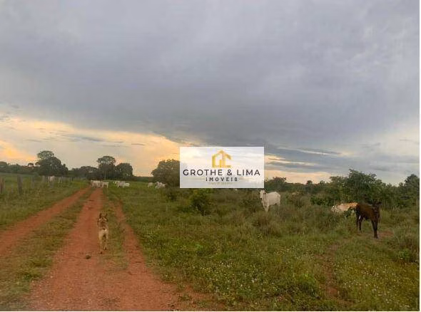 Farm of 4.652 acres in Formoso do Araguaia, TO, Brazil
