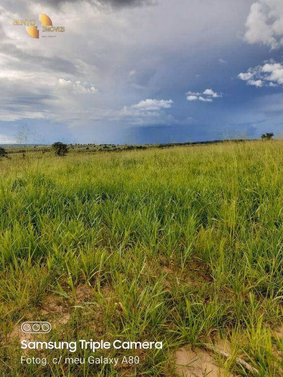 Fazenda de 9.000 ha em Primavera do Leste, MT