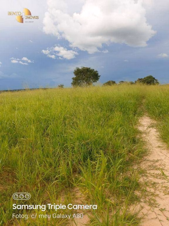 Fazenda de 9.000 ha em Primavera do Leste, MT