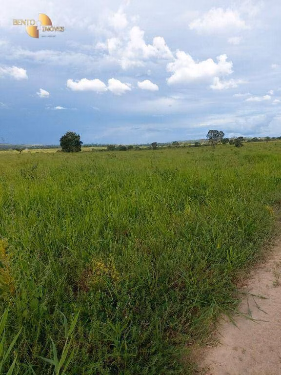 Fazenda de 9.000 ha em Primavera do Leste, MT