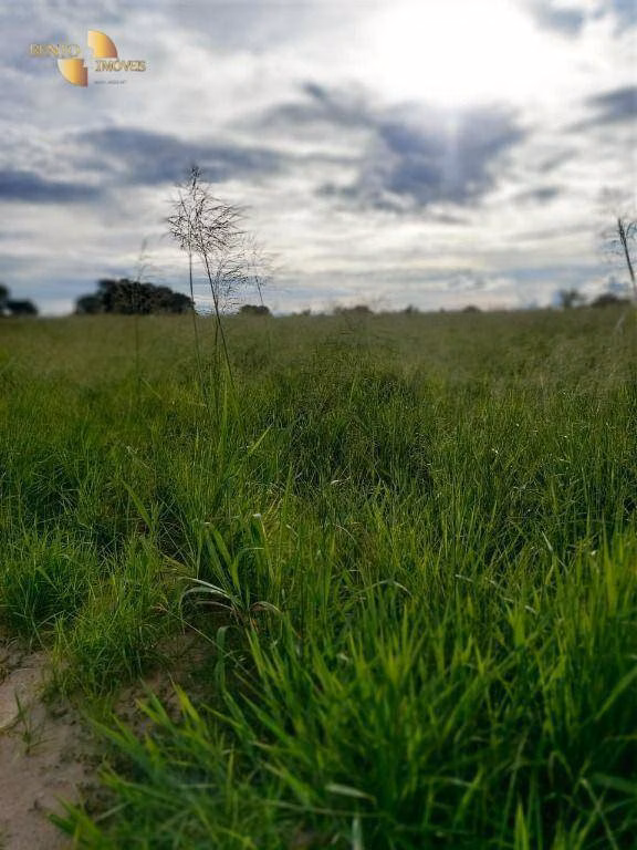 Fazenda de 9.000 ha em Primavera do Leste, MT