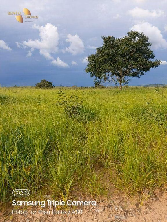 Fazenda de 9.000 ha em Primavera do Leste, MT
