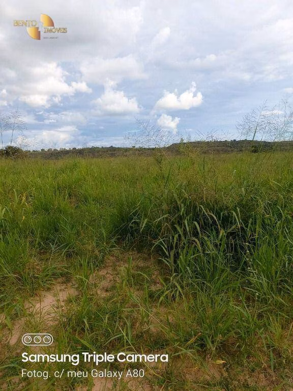 Fazenda de 9.000 ha em Primavera do Leste, MT