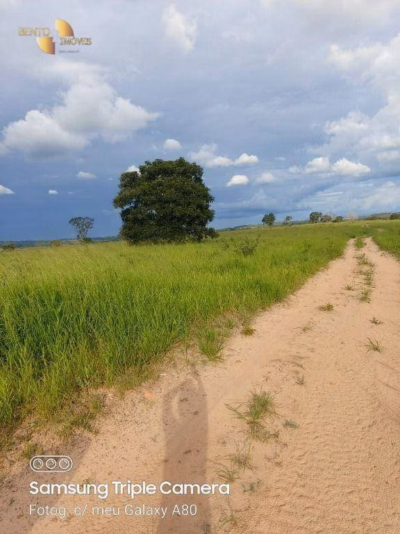Fazenda de 9.000 ha em Primavera do Leste, MT