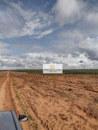 Fazenda de 1.210 ha em Araguaína, TO