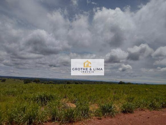Fazenda de 1.210 ha em Araguaína, TO