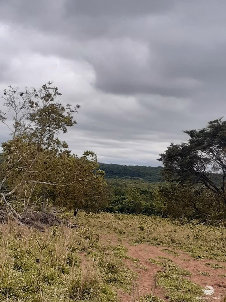 Fazenda de 118 ha em Camapuã, MS