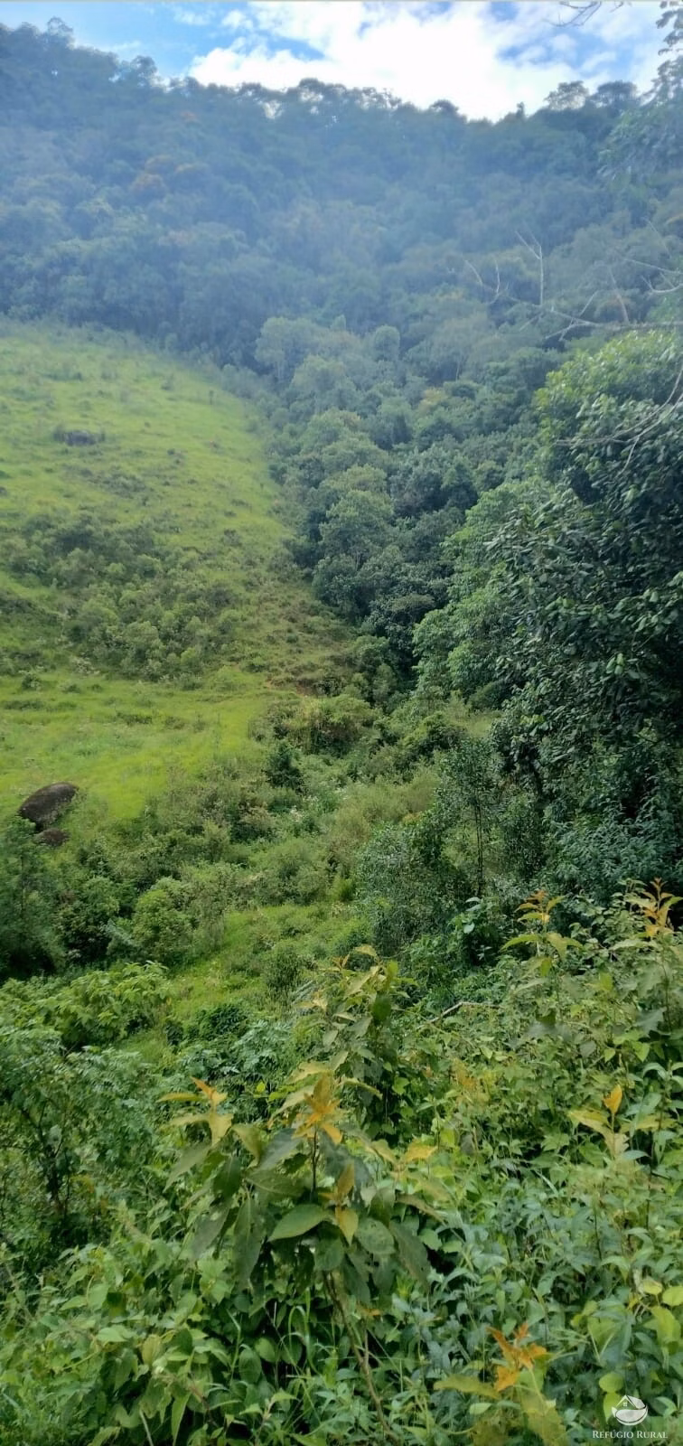 Small farm of 35 acres in São José dos Campos, SP, Brazil