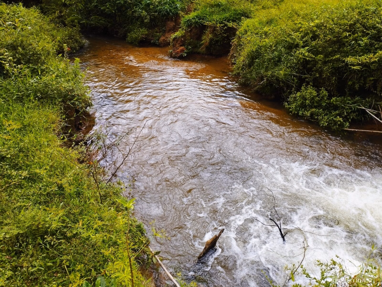 Small farm of 35 acres in São José dos Campos, SP, Brazil