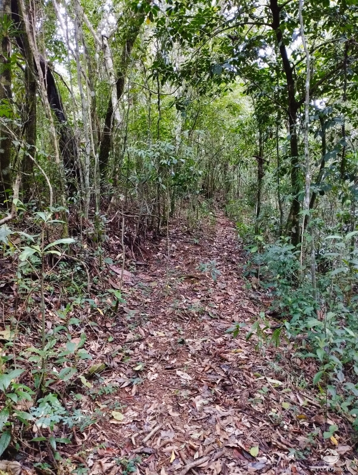 Small farm of 35 acres in São José dos Campos, SP, Brazil