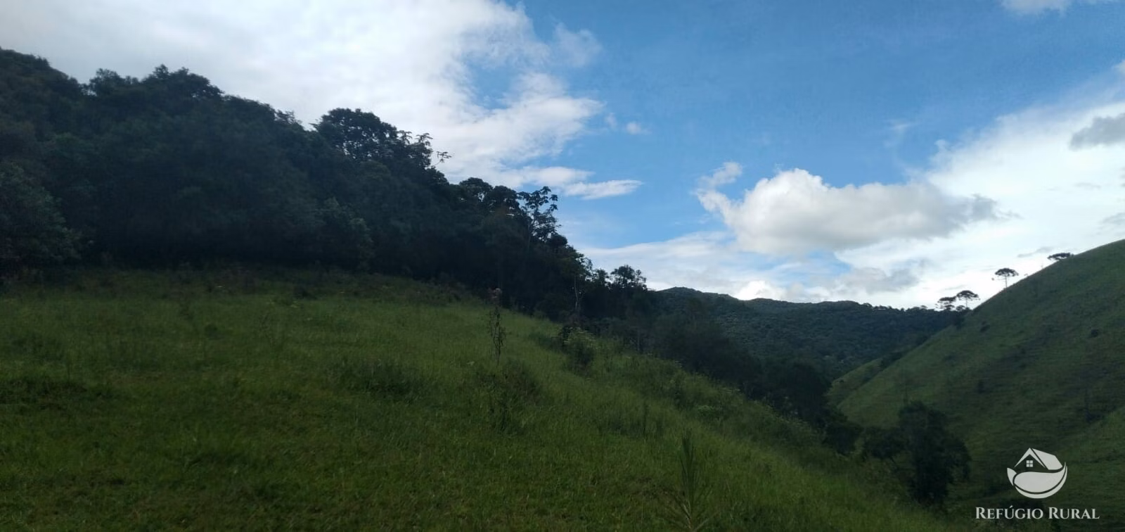 Small farm of 35 acres in São José dos Campos, SP, Brazil