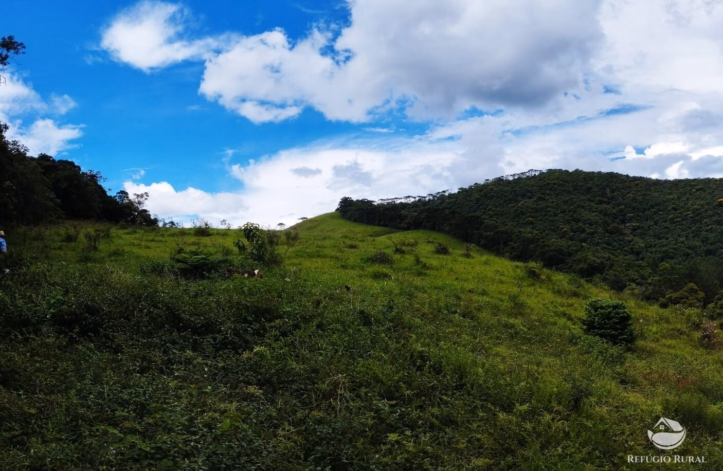 Small farm of 35 acres in São José dos Campos, SP, Brazil
