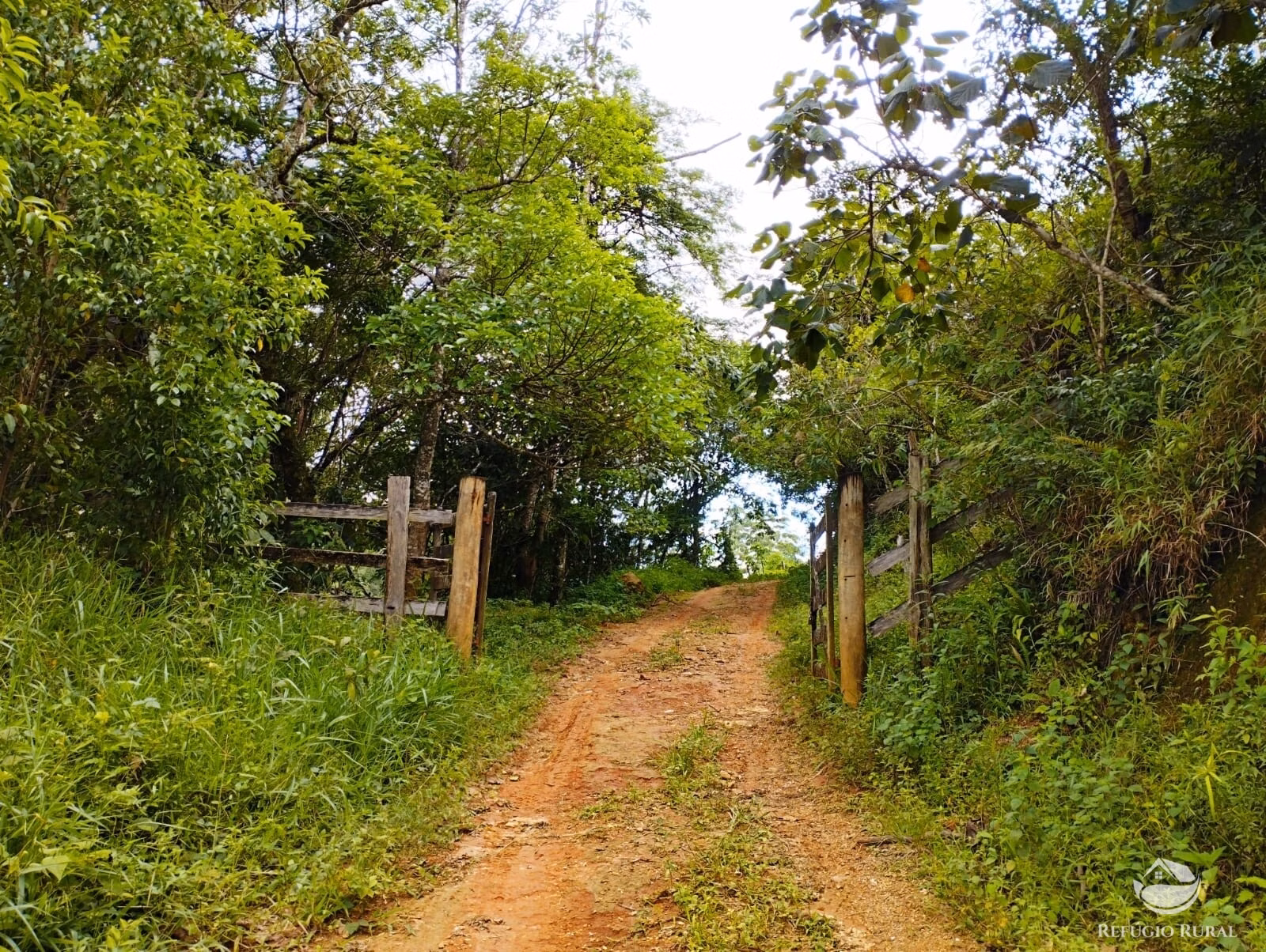 Small farm of 35 acres in São José dos Campos, SP, Brazil