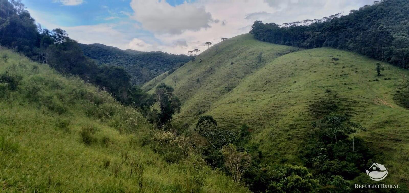 Small farm of 35 acres in São José dos Campos, SP, Brazil