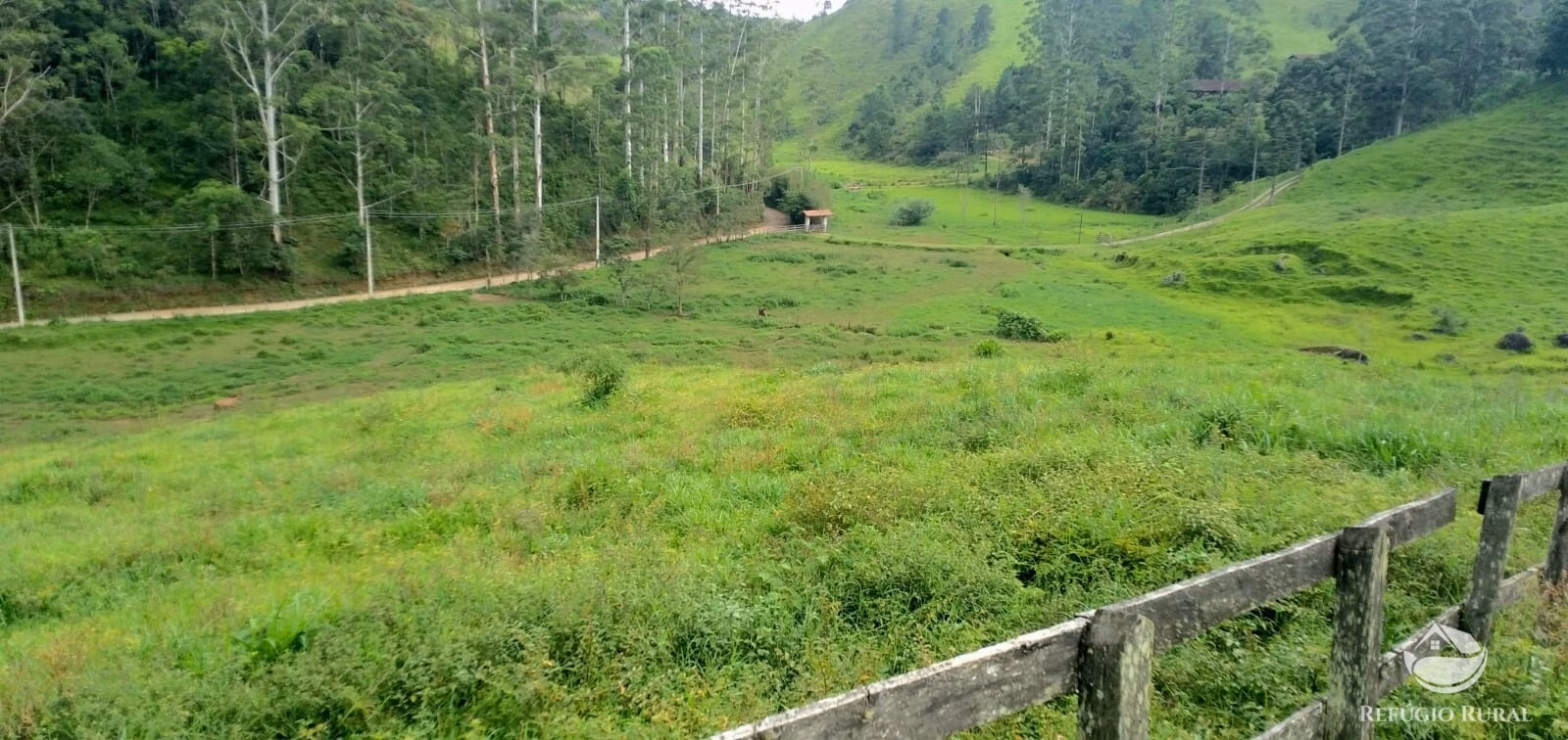 Small farm of 35 acres in São José dos Campos, SP, Brazil