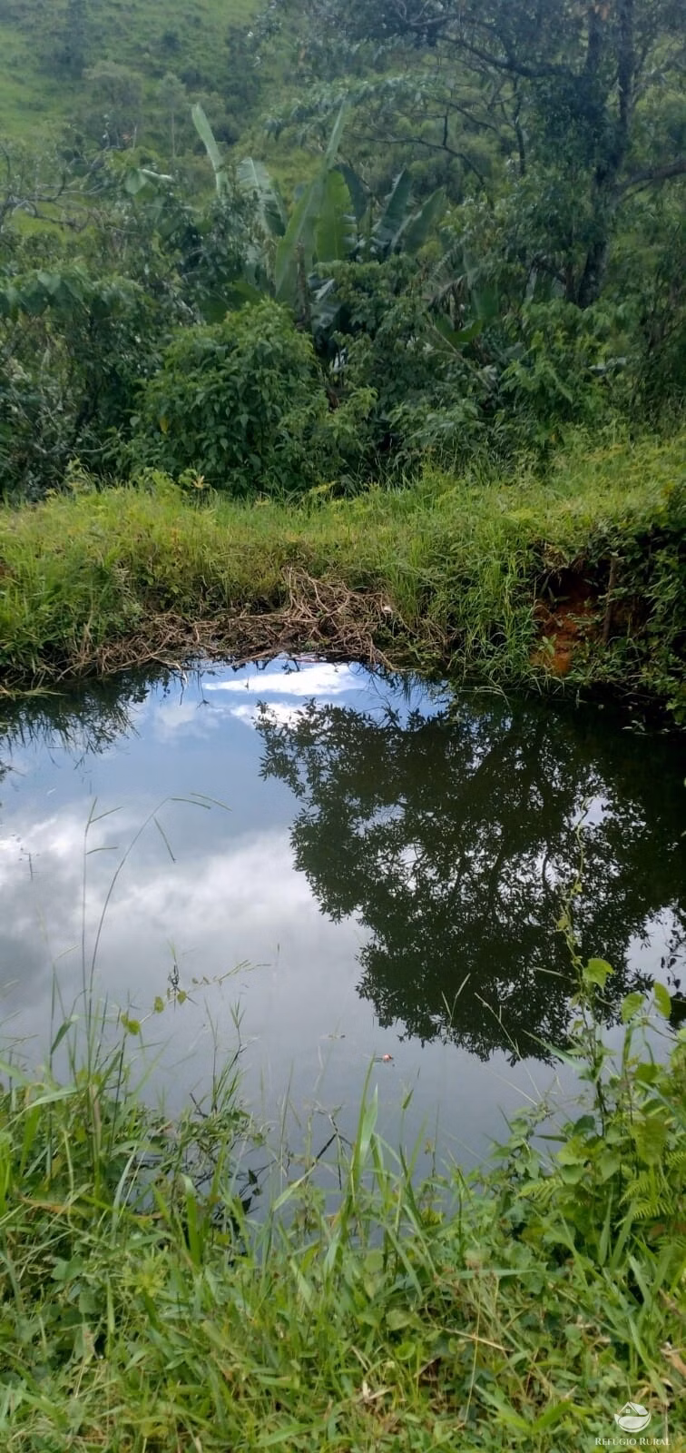 Small farm of 35 acres in São José dos Campos, SP, Brazil