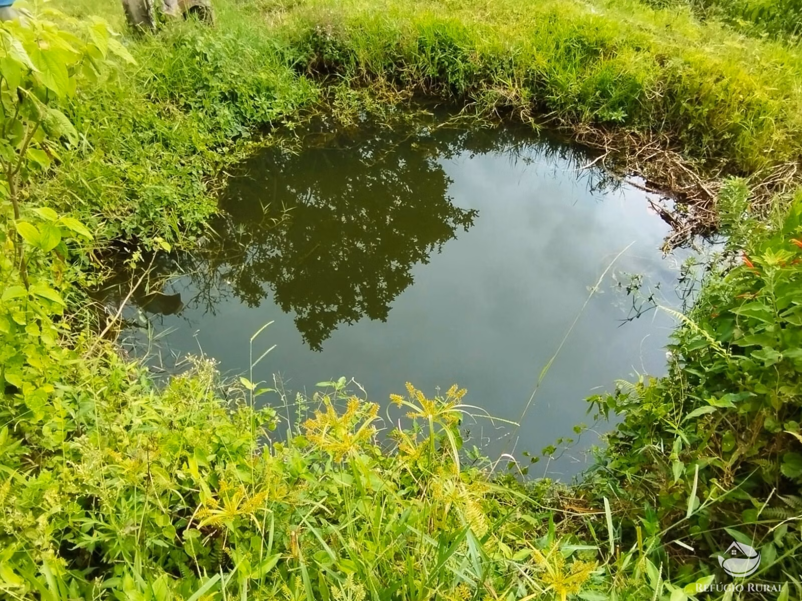 Small farm of 35 acres in São José dos Campos, SP, Brazil
